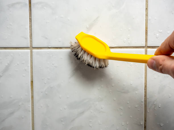 Best Mold Removal Near Me  in Ridgeland, SC