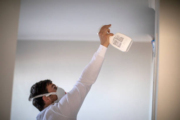 Best Professional Mold Removal  in Ridgeland, SC