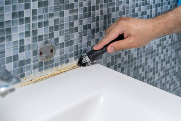 Best Mold Removal Company Near Me  in Ridgeland, SC