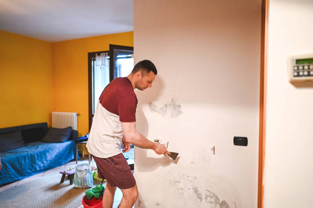 Attic Mold Removal in Ridgeland, SC